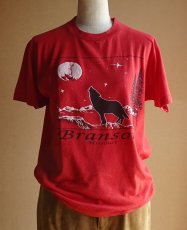 画像1: ScreenStars/スクリーンスターズ プリントTシャツ made in USA メンズＭ 【送料込み】 (1)