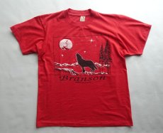 画像3: ScreenStars/スクリーンスターズ プリントTシャツ made in USA メンズＭ 【送料込み】 (3)