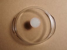 画像9: パイレックス 岩城硝子　耳付ケーキ焼き皿 浅型 日本製 21cm (9)