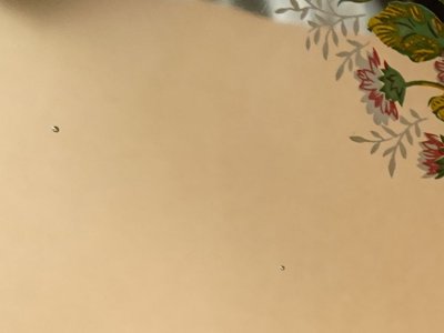 画像2: 【ご予約品】レトロ パイレックス 岩城硝子 ボウル 大 ブーケ 日本製 22.5cm