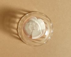 画像9: パイレックス 岩城硝子　耐熱カスタードカップ 小　日本製 9cm (9)