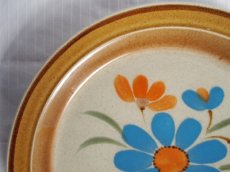 画像3: ストーンウェア　ディナー皿　ブルーマウンテン 27cm (3)