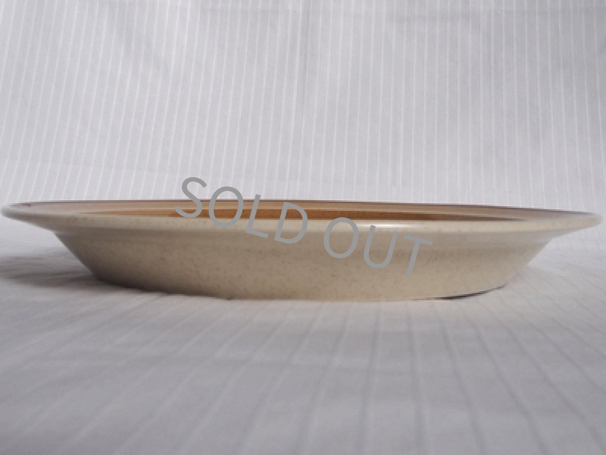 画像6: ストーンウェア　ディナー皿　ブルーマウンテン 27cm (6)