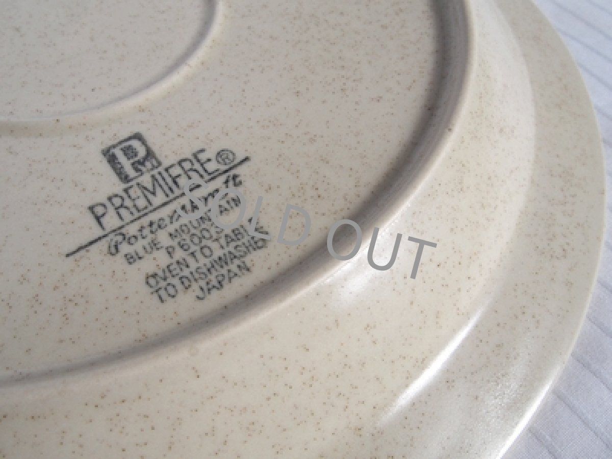 画像9: ストーンウェア　ディナー皿　ブルーマウンテン 27cm (9)