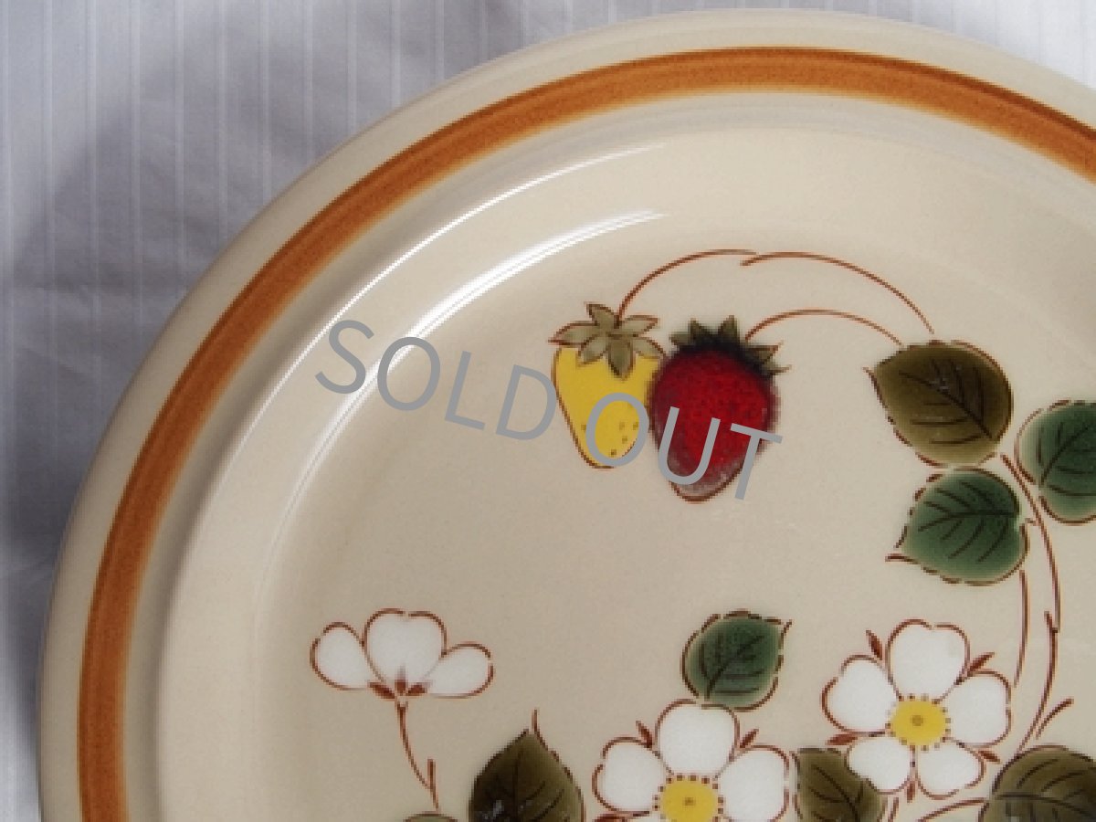 画像3: 桃山陶器 ストーンウェア　ディナー皿　27cm (3)