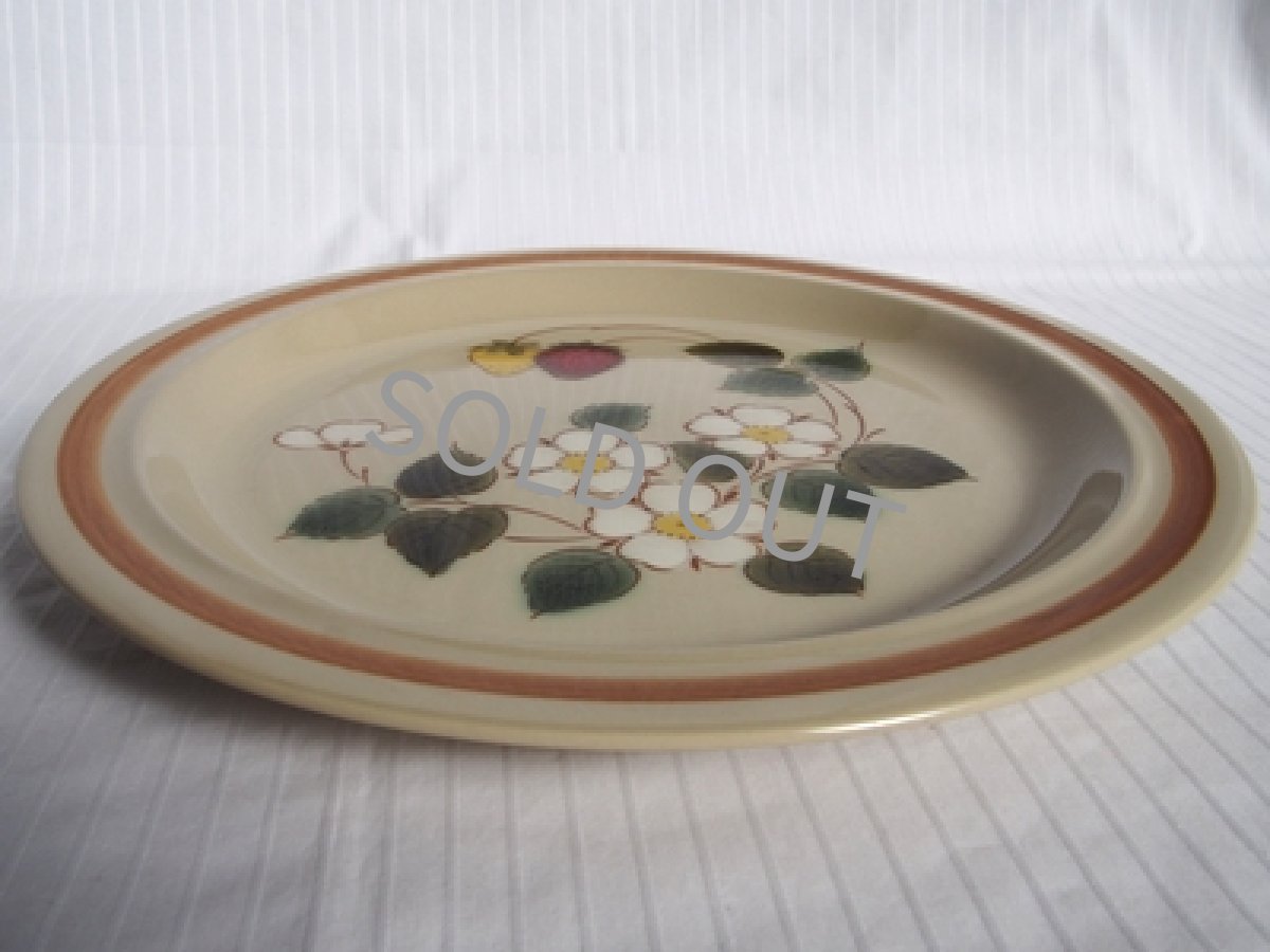 画像5: 桃山陶器 ストーンウェア　ディナー皿　27cm (5)