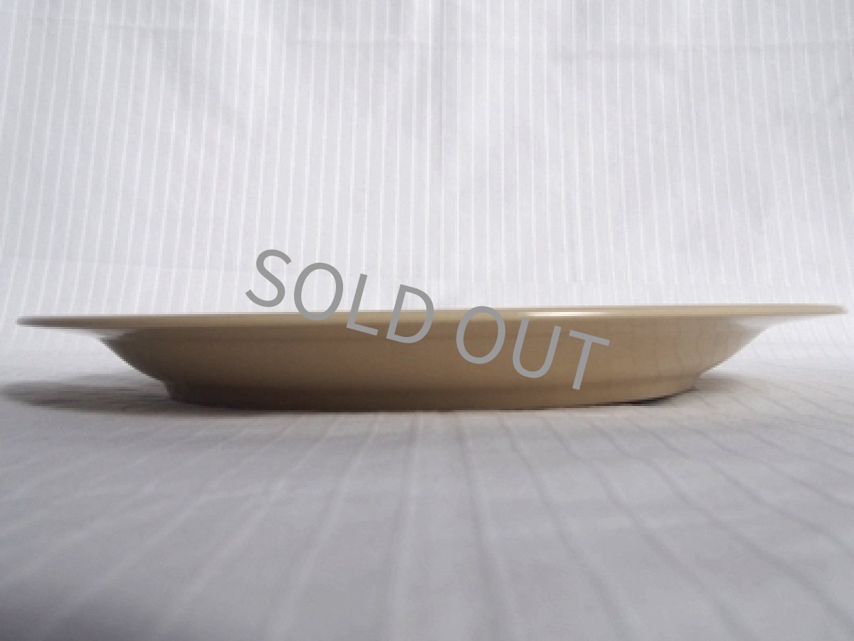 画像7: 桃山陶器 ストーンウェア　ディナー皿　27cm (7)