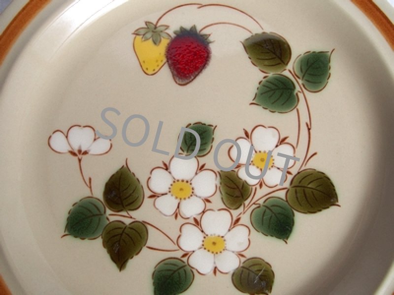 SHOP偶然と必然の間 桃山ストーンウェア ディナー皿 27cm イチゴ柄