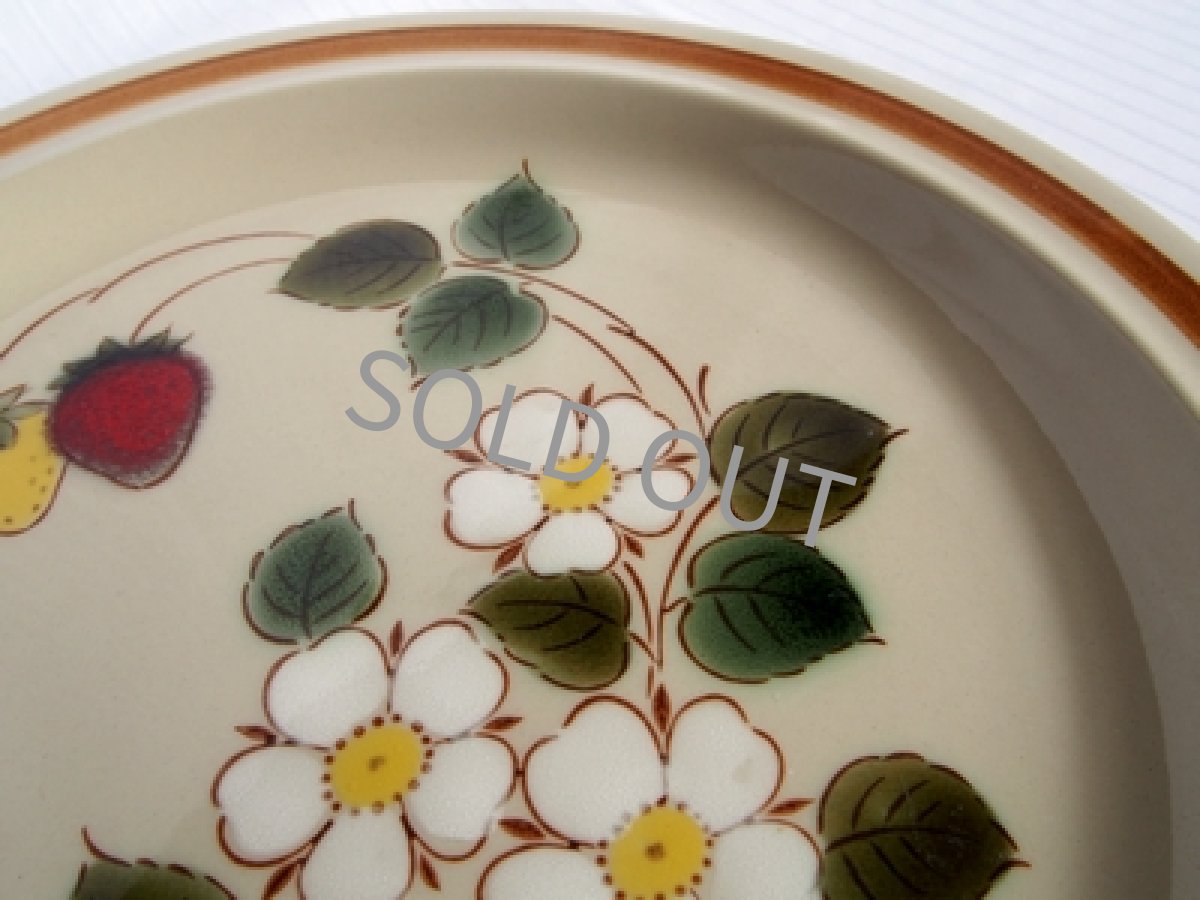 画像6: 桃山陶器 ストーンウェア　ディナー皿　27cm (6)