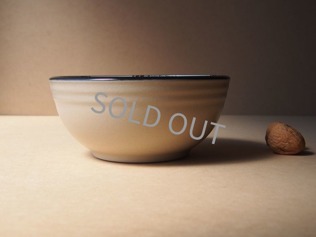 画像4: ノリタケ ストーンウェア　ボウル　Aspen Night 19cm (4)