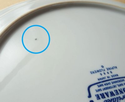 画像1: 【B品】ノリタケ  ストーンウェア　ディナー皿 アネモネ 26.5cm