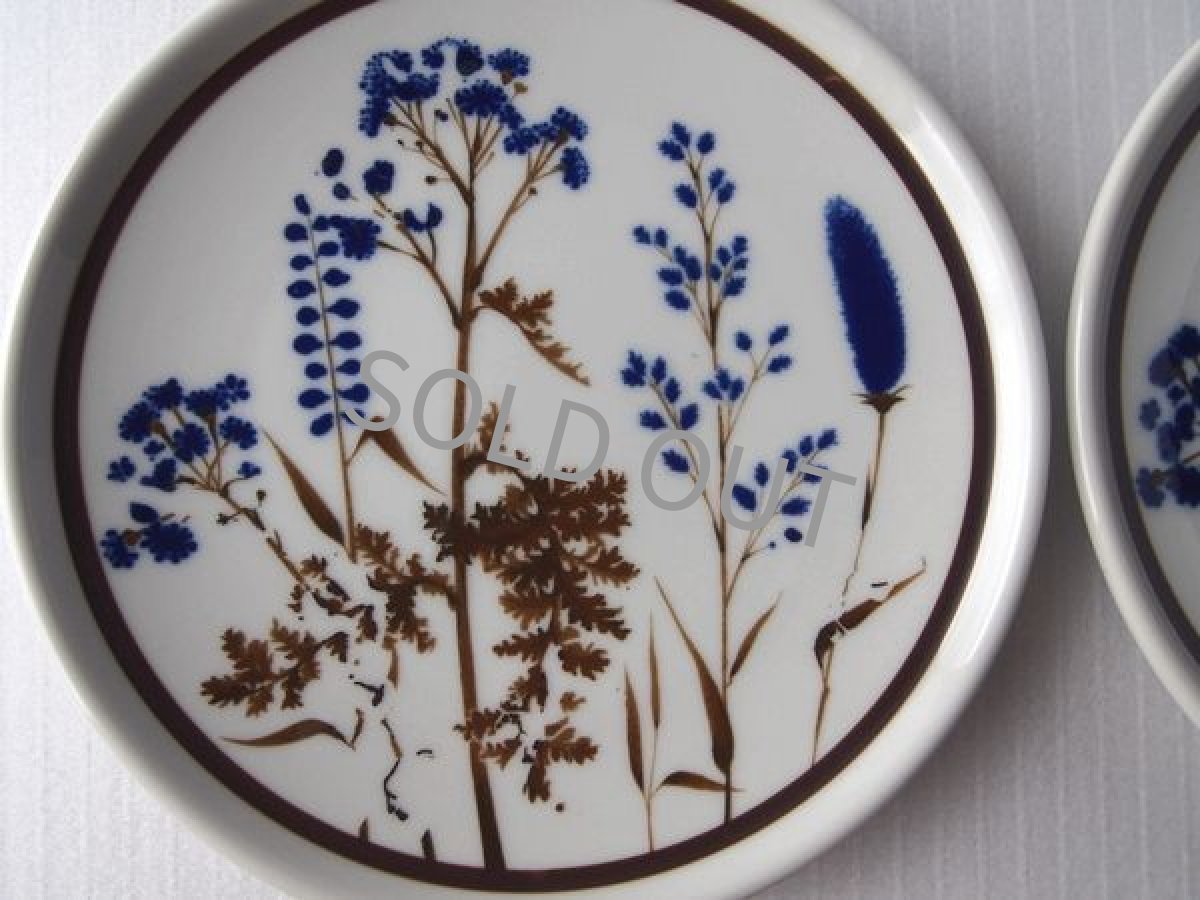 画像2: [B品] ノリタケ プリマストーン ケーキ皿2点セット(3)　草花 21cm (2)