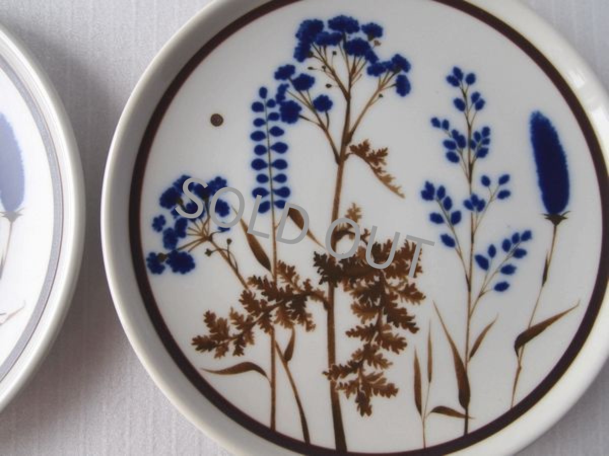 画像3: [B品] ノリタケ プリマストーン ケーキ皿2点セット(3)　草花 21cm (3)