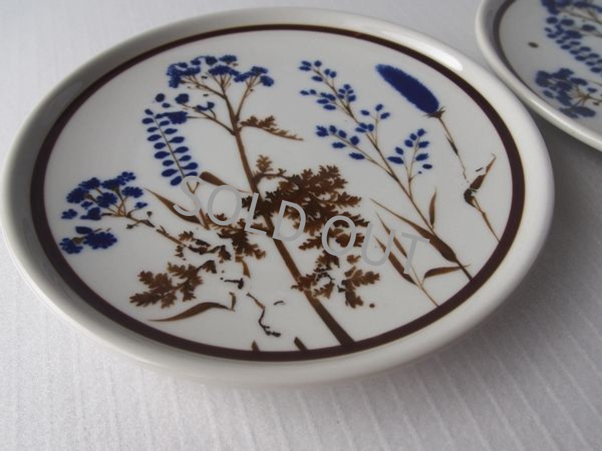 画像7: [B品] ノリタケ プリマストーン ケーキ皿2点セット(3)　草花 21cm (7)