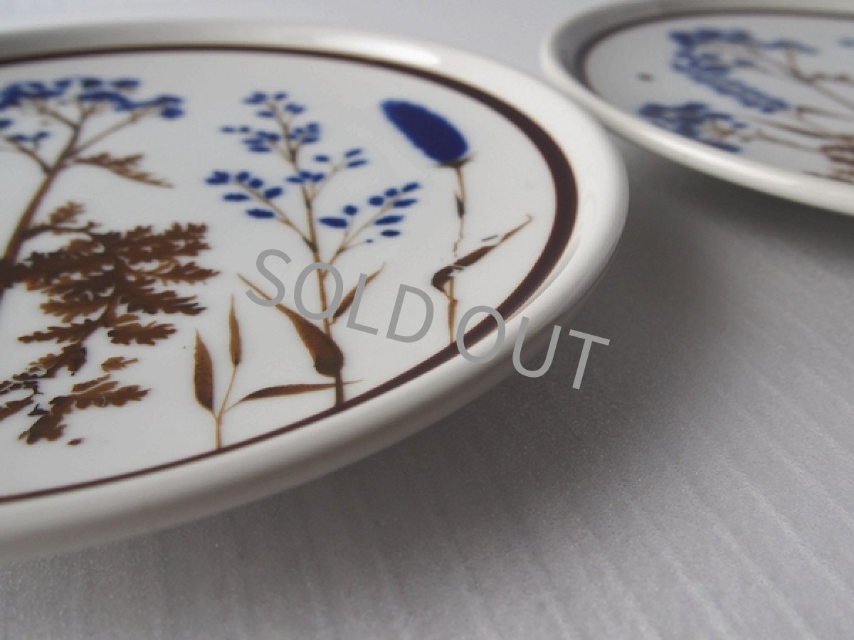画像4: [B品] ノリタケ プリマストーン ケーキ皿2点セット(3)　草花 21cm (4)