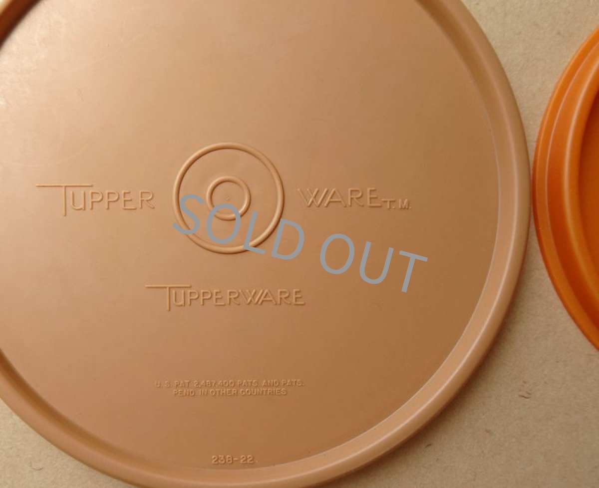 画像11: タッパーウェア　オータムキャニスター 2個セット ヴィンテージ USA製 (11)