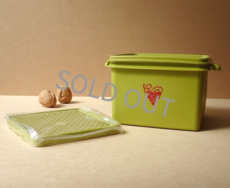 Tupperwareタッパーウェア　 タッパーウェーブ2000だ円（中）すのこ付 タッパーウェア タッパーウェーブ2000 だ円（中）すのこ付