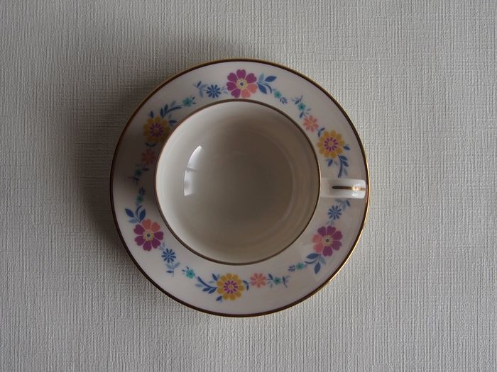 SHOP偶然と必然の間 NORITAKE C&S IVORYCHINA FLOWER STRIPE